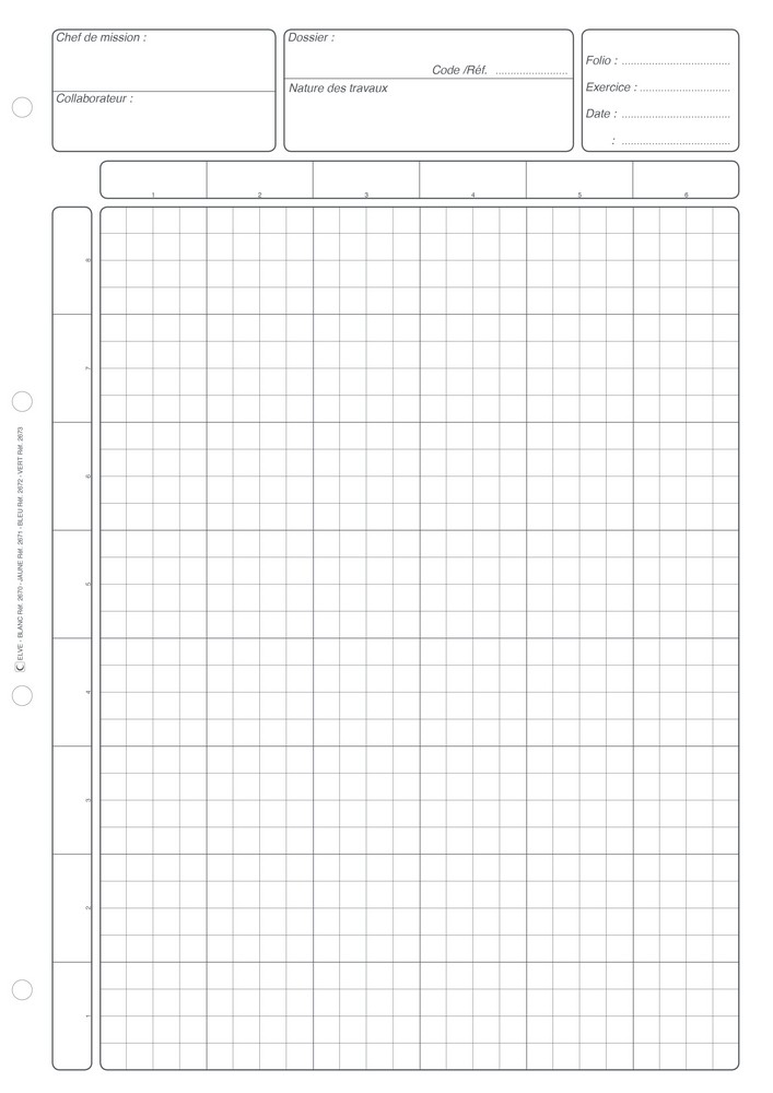 BLOC BLANC Matrice de contrôle interne - Feuille de 