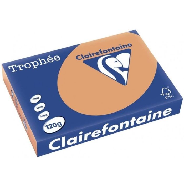 Ramette de papier de 250 feuilles A4 120g - Caramel : CLAIREFONTAINE Trophée