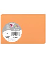 Carte en papier - 82 x 128 mm - Clémentine : POLLEN Lot de 25 Visuel