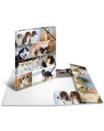 Chemise à rabats A3 - Motifs Chiens HERMA