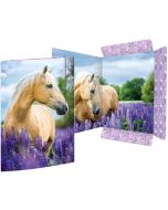 Carton à Dessin à élastique - A3 - Cheval RNK Verlag