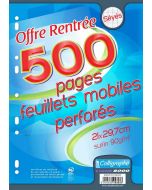 Feuilles mobiles perforées Séyès CALLIGRAPHE Lot de 500 pages - 210 x 297 mm image