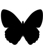 Tableau noir décoratif - Ardoise 300 x 360 mm Papillon SECURIT Silhouette Image