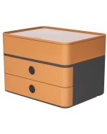 Photo Module de rangement - 260 x 195 x 190 mm - Caramel HAN Smart Box Plus Allisson