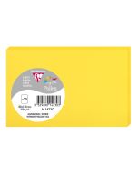 Photo Carte en papier POLLEN 82 x 128 mm - Jaune Soleil 1423C