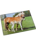Photo Sous-mains de bureau - 530 x 400 mm - Cheval et poulain LAUFER 46587