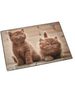 Photo Sous-mains de bureau - 400 x 530 mm - Chats fouineurs LAUFER