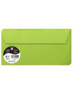 Photo Enveloppes - Format DL 110 x 220 mm - Vert menthe POLLEN