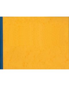 Registre à têtes paresseuses - 10 colonnes 100 pages - 250 x 320 mm : ELVE 184101