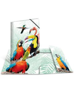 Chemise à élastiques A4 Motif Oiseaux Tropiques : HERMA image