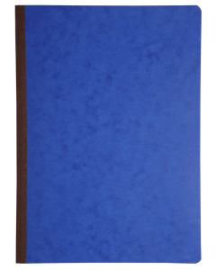 LE DAUPHIN : Registres de100 pages quadrillées et foliotées - 297 x 210 mm 39707D