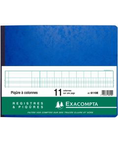 EXACOMPTA 6110E Registre de 11 colonnes sur 1 page - 250 x 320 mm (Journal comptable)