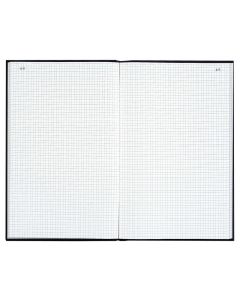 LE DAUPHIN : Registre VS 300 pages quadrillées avec foliotage - 297 x 210 mm