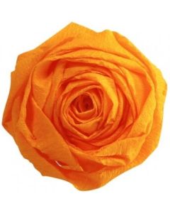 Papier Crépon - Jaune or : CLAIREFONTAINE Visuel