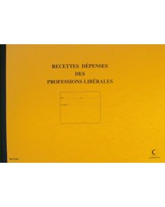 Journal des Recettes et Dépenses Professions libérales 97381 ELVE (Registre comptable)