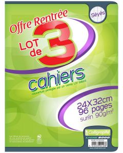 Grand Sac Congélation - 60 L STARPAK Lot de 50