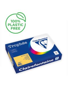 Ramette de papier Trophée de 500 feuilles A3 - Bouton d'Or : CLAIREFONTAINE Visuel