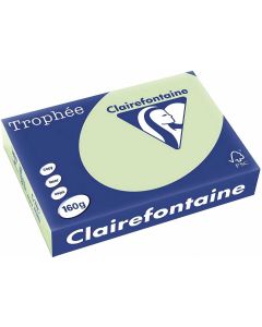 Ramette de papier de 250 feuilles A3 160g - Vert Nature : CLAIREFONTAINE Trophée Modèle