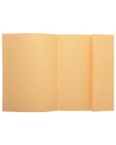 Lot de 100 Chemises à 1 rabat - Bulle EXACOMPTA Photo