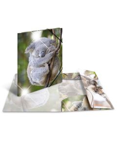 Photo Chemise à élastique A4 - Motif Koala HERMA image