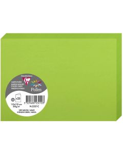 Photo Cartes double en papier - 110 x 155 mm C6 - Vert menthe- CLAIREFONTAINE Pollen 
