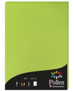 Photo Feuille de couleur Vert menthe 210 x 297 mm A4 POLLEN 4215C